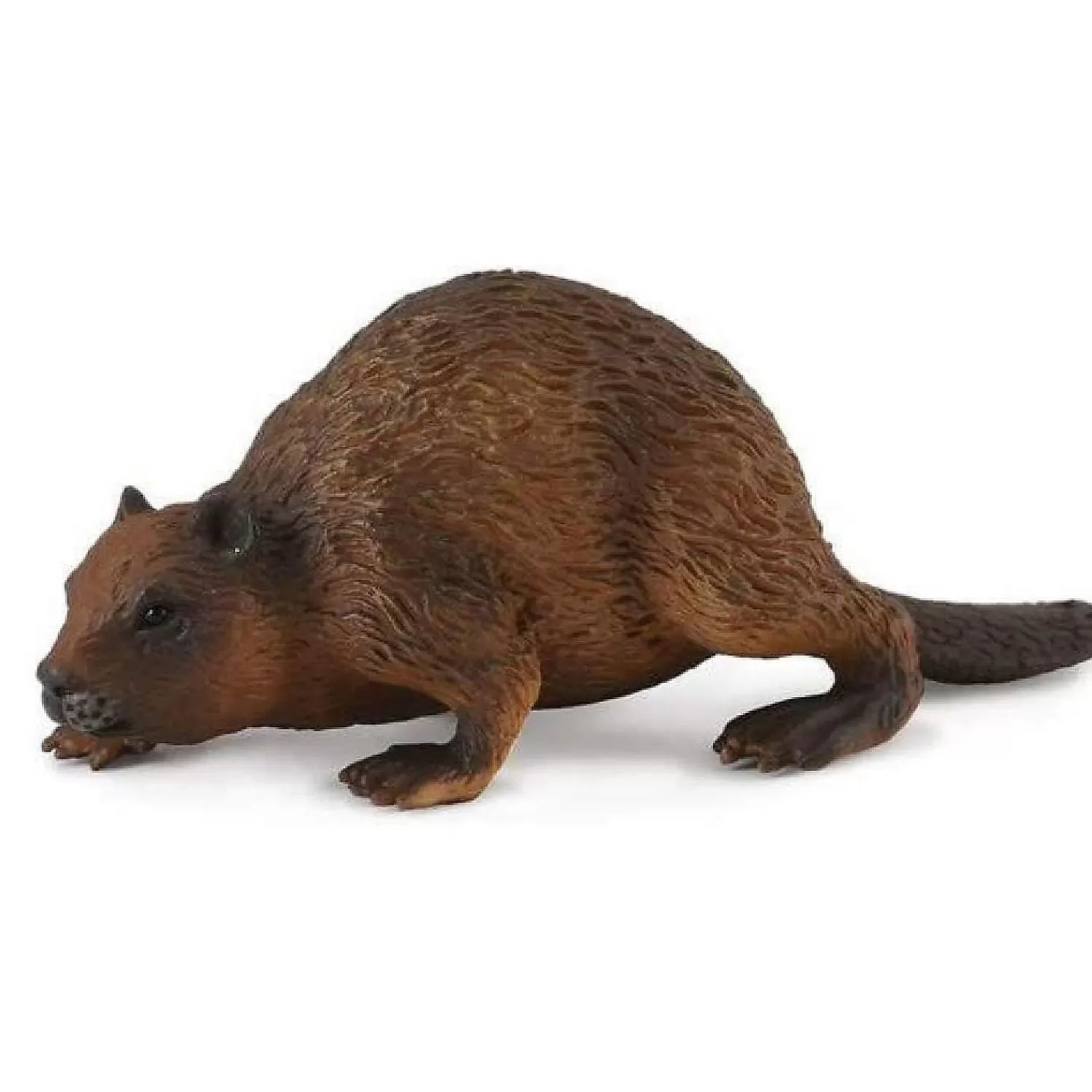 Oriental Trading Character Toys*Collecta Wildlife Collection Miniature Figure Woodlands Beaver