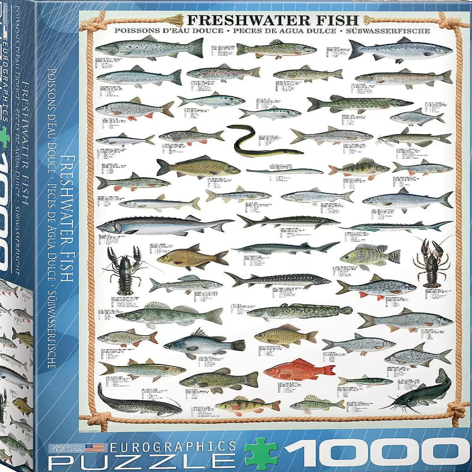 Oriental Trading Puzzles*Freshwater Fish 1000 Piece Jigsaw Puzzle