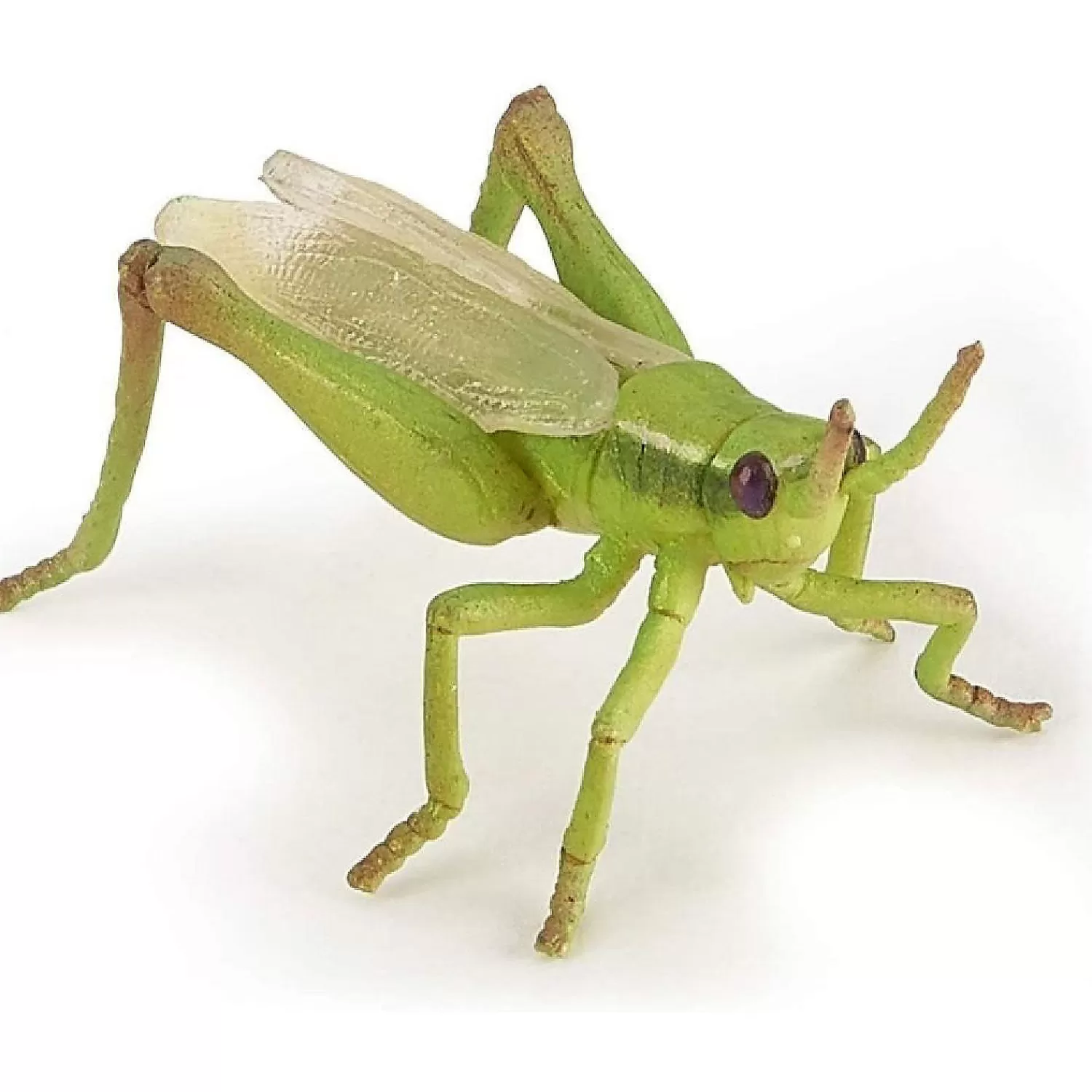 Oriental Trading Character Toys*Papo Grasshopper