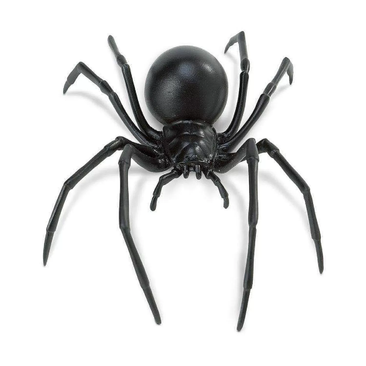 Oriental Trading Character Toys*Safari Black Widow Spider Toy