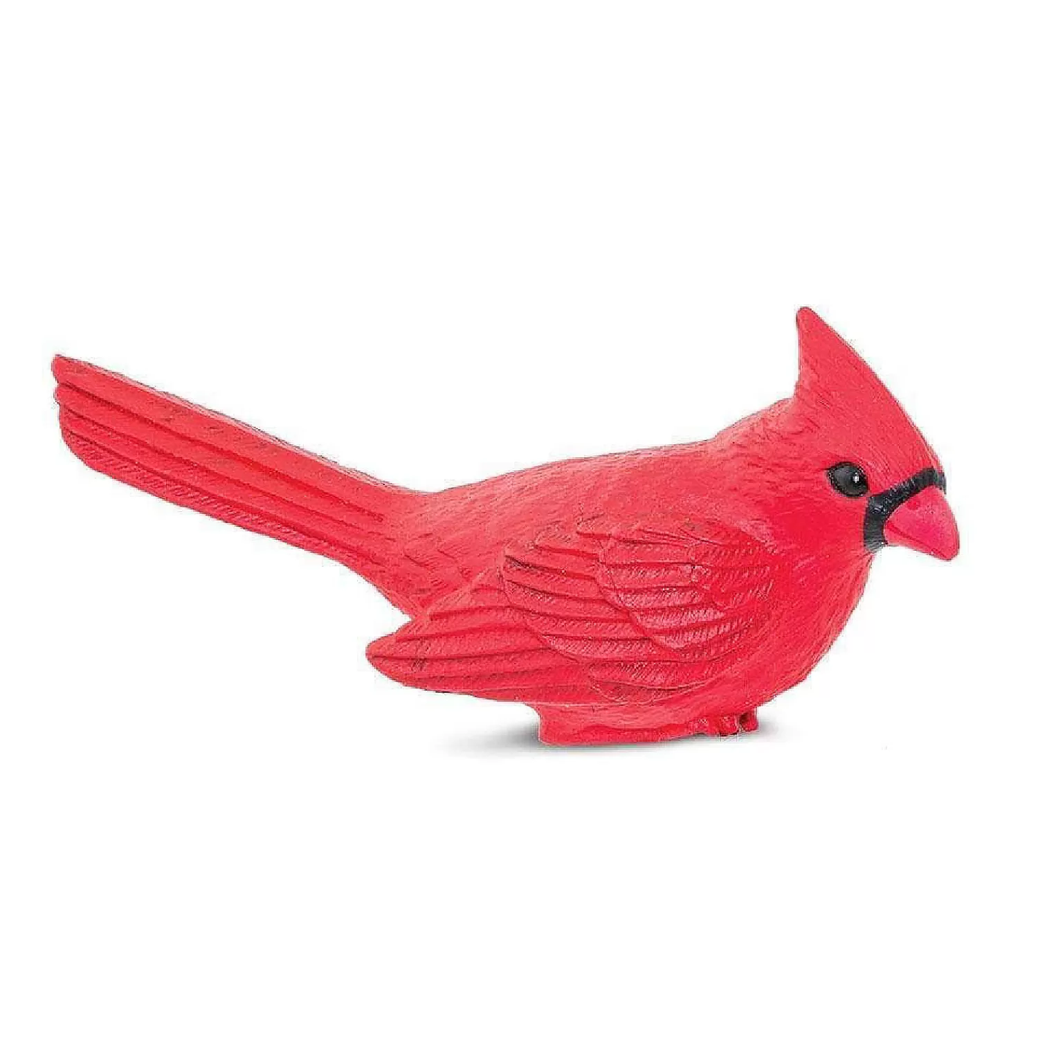 Oriental Trading Character Toys*Safari Cardinal Toy