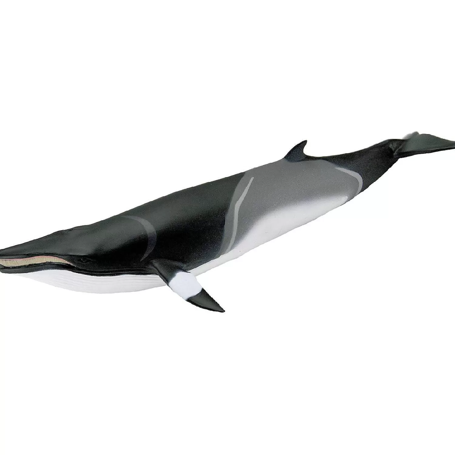 Oriental Trading Character Toys*Safari Ltd. Minke Whale